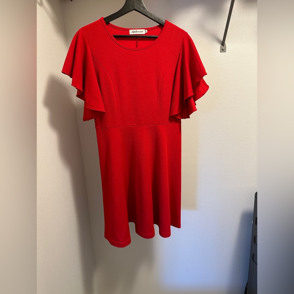 Red Fit and Flare dress - lil above knee